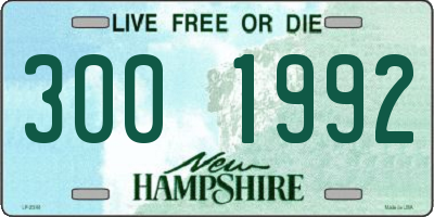 NH license plate 3001992