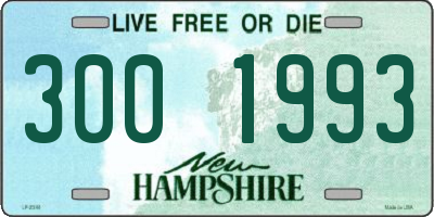 NH license plate 3001993