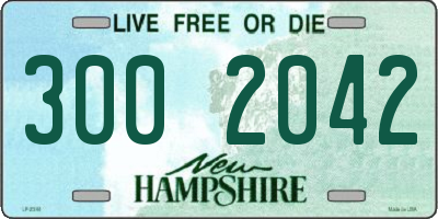 NH license plate 3002042