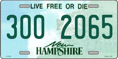 NH license plate 3002065