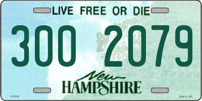 NH license plate 3002079