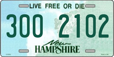 NH license plate 3002102