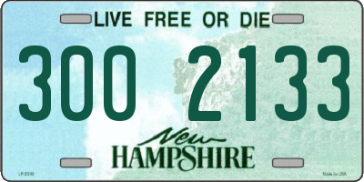 NH license plate 3002133