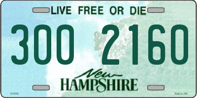 NH license plate 3002160
