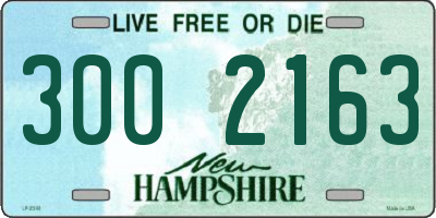 NH license plate 3002163