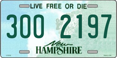 NH license plate 3002197