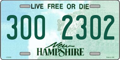 NH license plate 3002302