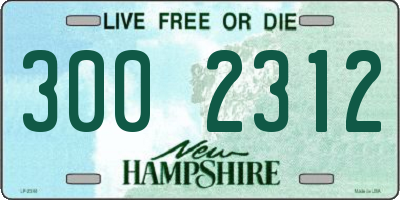 NH license plate 3002312