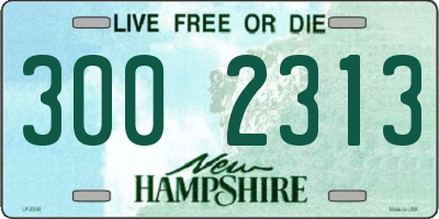NH license plate 3002313