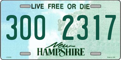 NH license plate 3002317