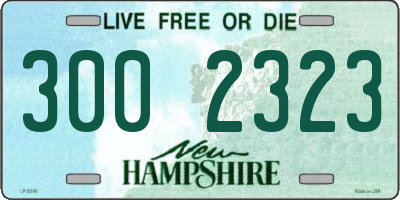 NH license plate 3002323