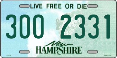 NH license plate 3002331