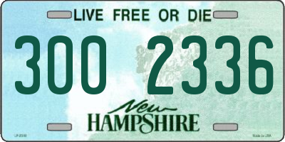 NH license plate 3002336