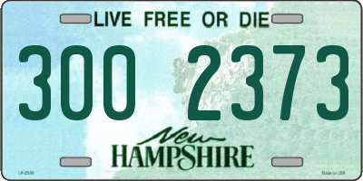 NH license plate 3002373
