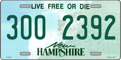 NH license plate 3002392