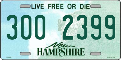 NH license plate 3002399