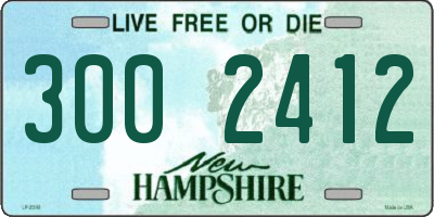 NH license plate 3002412