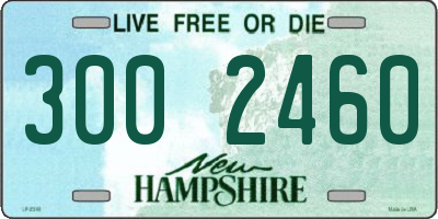 NH license plate 3002460