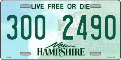 NH license plate 3002490