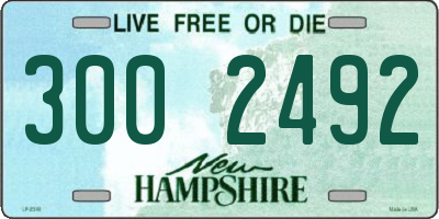 NH license plate 3002492