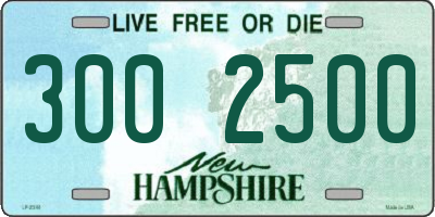 NH license plate 3002500