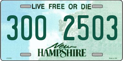 NH license plate 3002503