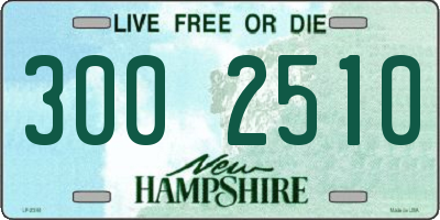 NH license plate 3002510
