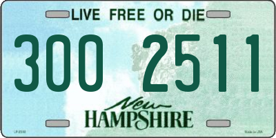 NH license plate 3002511