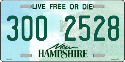 NH license plate 3002528
