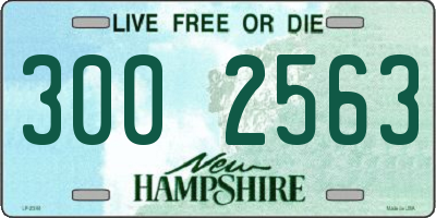 NH license plate 3002563
