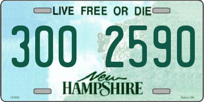 NH license plate 3002590