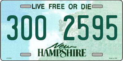 NH license plate 3002595