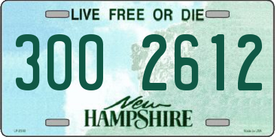 NH license plate 3002612