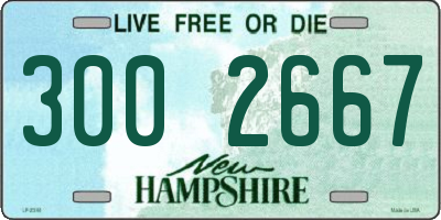 NH license plate 3002667