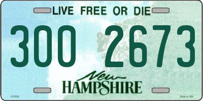 NH license plate 3002673