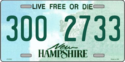 NH license plate 3002733