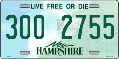 NH license plate 3002755