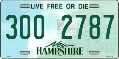NH license plate 3002787