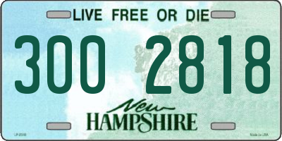 NH license plate 3002818
