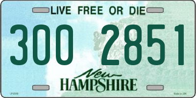 NH license plate 3002851