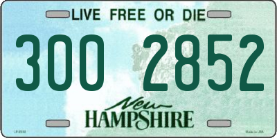 NH license plate 3002852