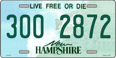 NH license plate 3002872