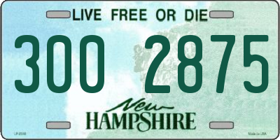 NH license plate 3002875