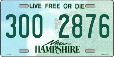 NH license plate 3002876
