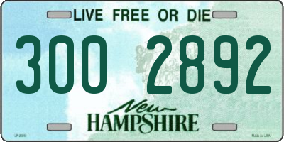 NH license plate 3002892