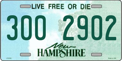 NH license plate 3002902