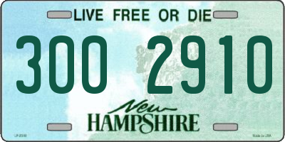 NH license plate 3002910