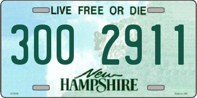 NH license plate 3002911