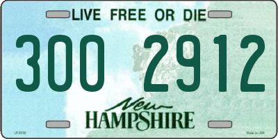 NH license plate 3002912