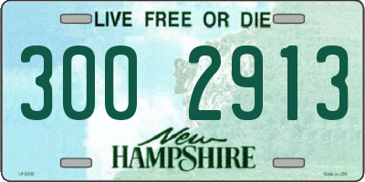 NH license plate 3002913